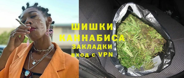молекула духа Алексин