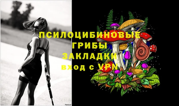 ешки Армянск