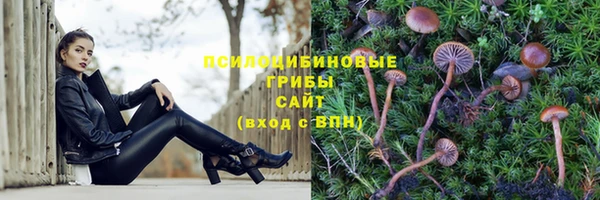 синтетический гашиш Арсеньев