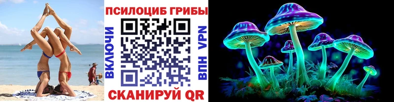 даркнет сайт Красный Кут Псилоцибиновые грибы мицелий